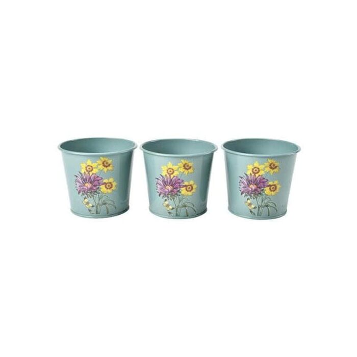 Burgon & Ball RHS Asteraceae Herb Pots